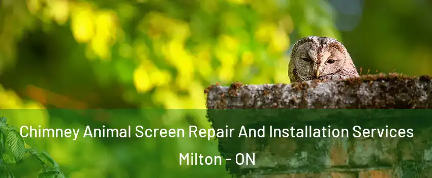  Chimney Animal Screen Repair And Installation Services Milton - ON