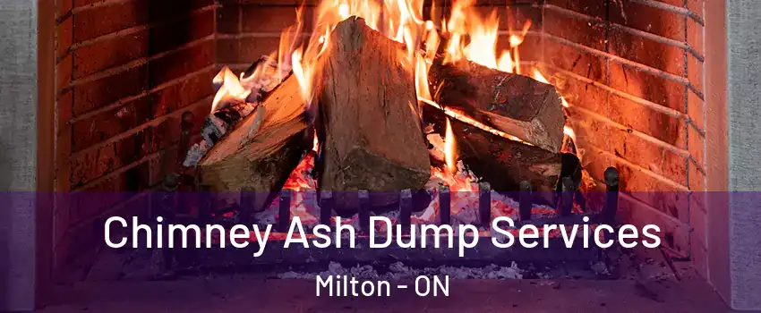  Chimney Ash Dump Services Milton - ON