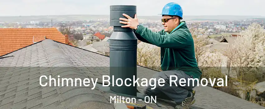  Chimney Blockage Removal Milton - ON