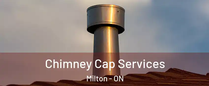  Chimney Cap Services Milton - ON