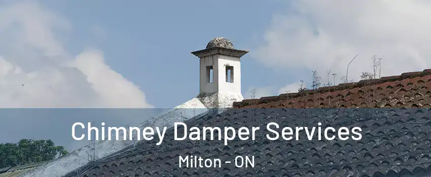  Chimney Damper Services Milton - ON