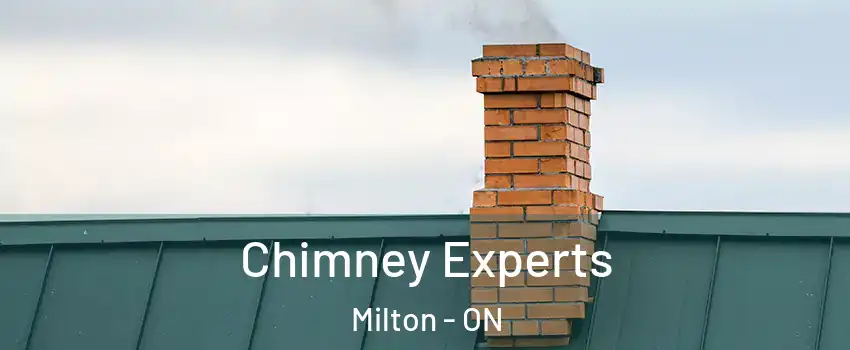  Chimney Experts Milton - ON