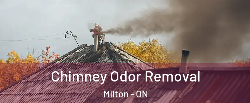  Chimney Odor Removal Milton - ON