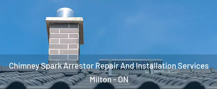  Chimney Spark Arrestor Repair And Installation Services Milton - ON