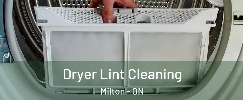  Dryer Lint Cleaning Milton - ON