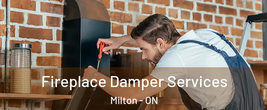  Fireplace Damper Services Milton - ON