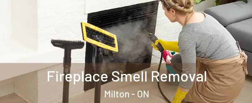  Fireplace Smell Removal Milton - ON