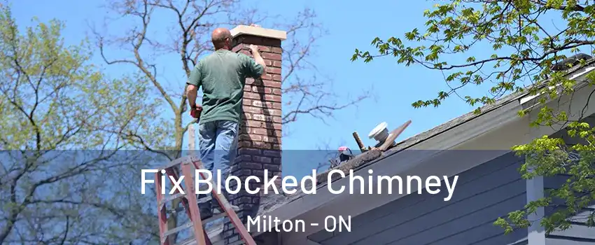  Fix Blocked Chimney Milton - ON
