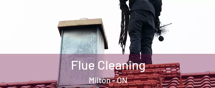  Flue Cleaning Milton - ON