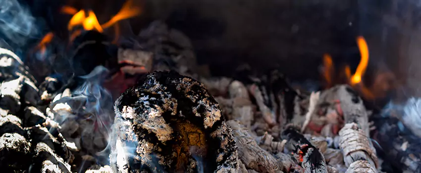 Creosote Removal Experts in Milton, ON