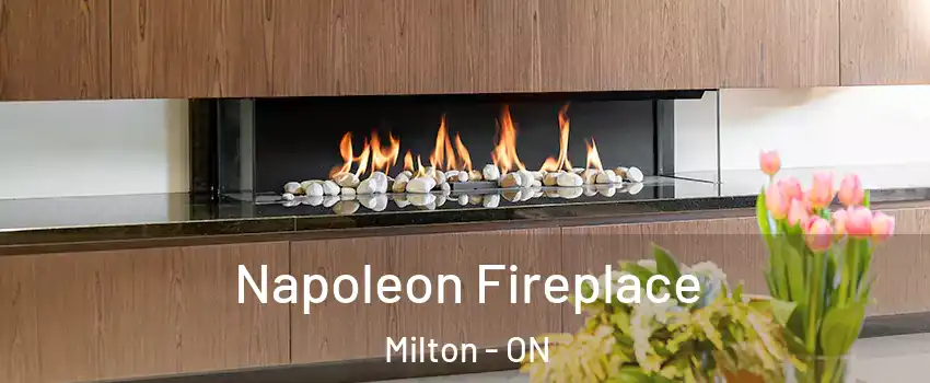  Napoleon Fireplace Milton - ON